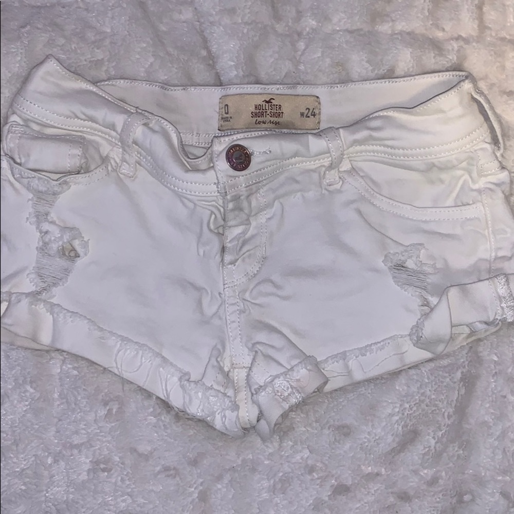 shorts